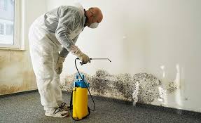 Best Emergency Mold Remediation in Tallmadge, OH