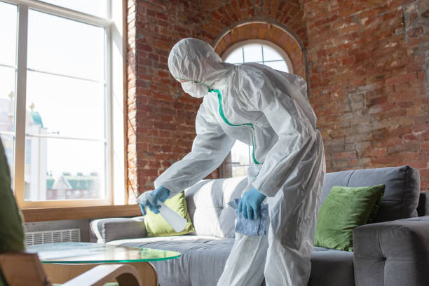 Best Mold Remediation for Healthcare Facilities in Tallmadge, OH