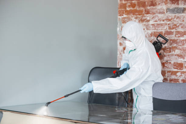 Best Mold Odor Removal Services in Tallmadge, OH