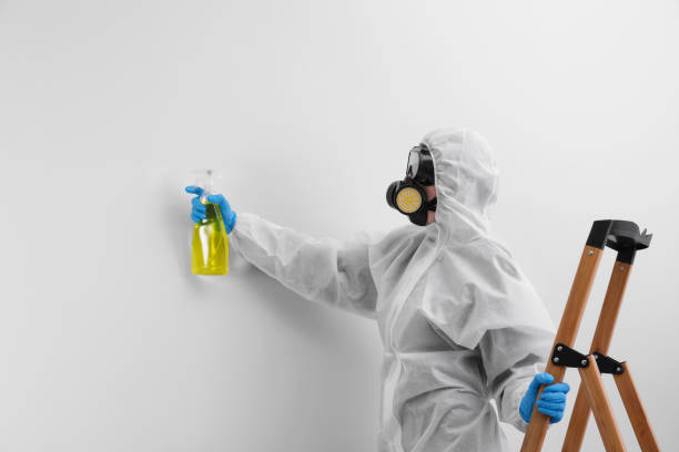 Trusted Tallmadge, OH Mold Removal Experts